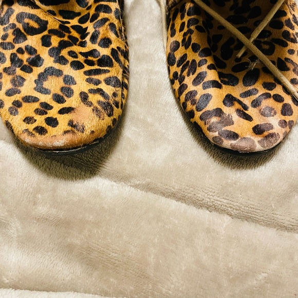 GOP leopard - Picture 2 of 7